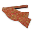 Load image into Gallery viewer, Dewitt: Bow - Orange