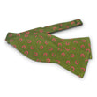 Load image into Gallery viewer, Horseshoe Surprise: Bow - Green