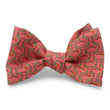 Load image into Gallery viewer, Jump the Gun: Bow - Coral