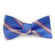 Load image into Gallery viewer, Kenney: Bow - Blue