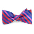 Load image into Gallery viewer, Marshall: Bow - Blue