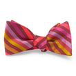 Load image into Gallery viewer, Marshall: Bow - Orange