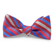 Load image into Gallery viewer, Marshall: Bow - Red