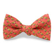 Load image into Gallery viewer, Quail: Bow - Coral