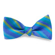 Load image into Gallery viewer, Summerall: Bow - Aqua
