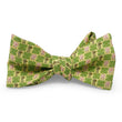 Load image into Gallery viewer, Tailgate: Bow - Yellow