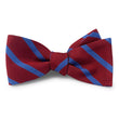 Load image into Gallery viewer, Wainwright: Bow - Red