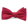 Load image into Gallery viewer, Berry: Bow - Red
