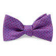 Load image into Gallery viewer, Berry: Bow - Red