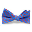 Load image into Gallery viewer, Beck: Bow - Blue/Red