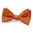 Load image into Gallery viewer, Bowie: Bow - Coral