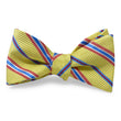 Load image into Gallery viewer, Cobain: Bow - Yellow