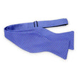 Load image into Gallery viewer, Fencing: Bow - Purple