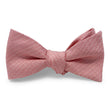 Load image into Gallery viewer, Floyd: Bow - Pink