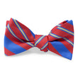 Load image into Gallery viewer, Garcia: Bow - Red