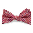 Load image into Gallery viewer, Hot Air Balloons: Bow - Red