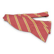 Load image into Gallery viewer, Jarreau: Bow - Corral