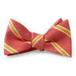 Load image into Gallery viewer, Jarreau: Bow - Corral
