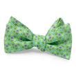 Load image into Gallery viewer, Lily & Frog: Bow - Aqua