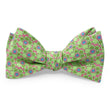 Load image into Gallery viewer, Lily & Frog: Bow - Pink