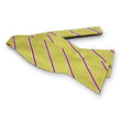 Load image into Gallery viewer, McFerrin: Bow - Yellow