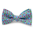 Load image into Gallery viewer, Sunscreen: Bow - Aqua
