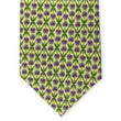 Load image into Gallery viewer, Desert Bloom: Tie - Green