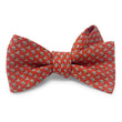 Load image into Gallery viewer, In Season: Bow - Red