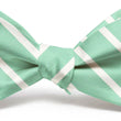 Load image into Gallery viewer, American Made Collared Greens Bow Tie Mint Made in the USA