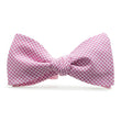 Load image into Gallery viewer, Barbaro: Bow Tie - Pink