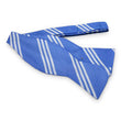 Load image into Gallery viewer, College Collection Stripes: Bow - Blue