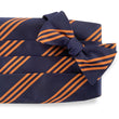 Load image into Gallery viewer, College Collection Stripes: Cummerbund Set - Navy/Orange