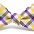 Load image into Gallery viewer, Collegiate Quad: Bow Tie - Purple/Yellow