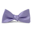 Load image into Gallery viewer, Signature Stripe: Bow Tie - Purple