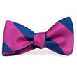 Load image into Gallery viewer, Benthaven: Bow Tie - Fuchsia/Navy