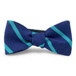 Load image into Gallery viewer, Stowe: Bow Tie - Navy/Green