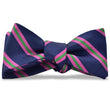 Load image into Gallery viewer, Berkshire: Bow Tie - Navy/Pink/Green