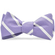 Load image into Gallery viewer, Clooney: Bow Tie - Purple/White
