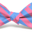 Load image into Gallery viewer, Newman: Bow Tie - Pink/Blue