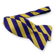 Load image into Gallery viewer, Dulles: Bow Tie - Gold/Purple