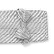 Load image into Gallery viewer, Signature Stripe: Cummerbund Set - Gray