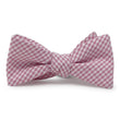 Load image into Gallery viewer, Fenwick: Carolina Cotton Bow - Pink