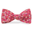 Load image into Gallery viewer, Arcadia: Carolina Cotton Bow - Red