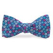 Load image into Gallery viewer, Arcadia: Carolina Cotton Bow - Blue