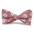 Load image into Gallery viewer, Blossom: Carolina Cotton Bow - Pink