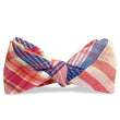 Load image into Gallery viewer, Betterton: Carolina Cotton Bow