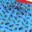 Load image into Gallery viewer, Let It Fly: Swim Trunks - Light Blue
