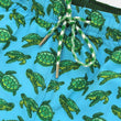 Load image into Gallery viewer, Turtle Tour: Swim Trunks - Turquoise