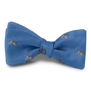 Pointer: Bow Tie - Blue