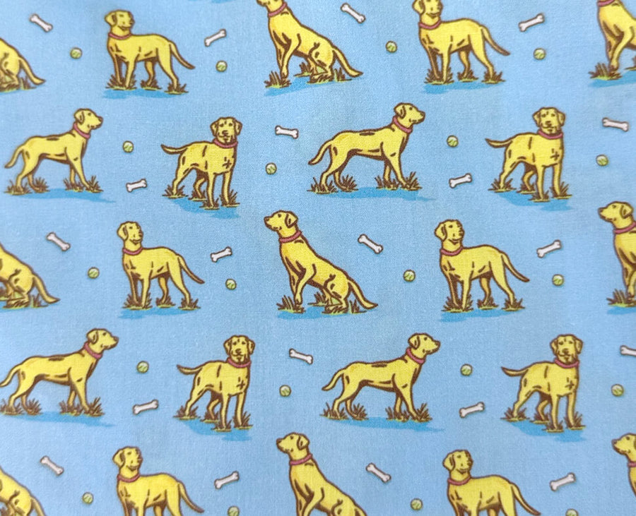 Doggone: Boxers - Light Blue